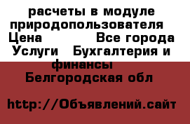 расчеты в модуле природопользователя › Цена ­ 3 000 - Все города Услуги » Бухгалтерия и финансы   . Белгородская обл.